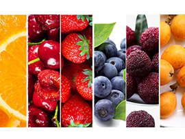 其它核果和漿果類加工設備